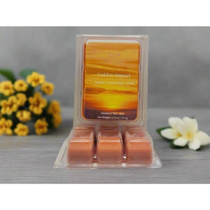 Private Label - Amber and Musk Scented Wax Melts | Pack of 100