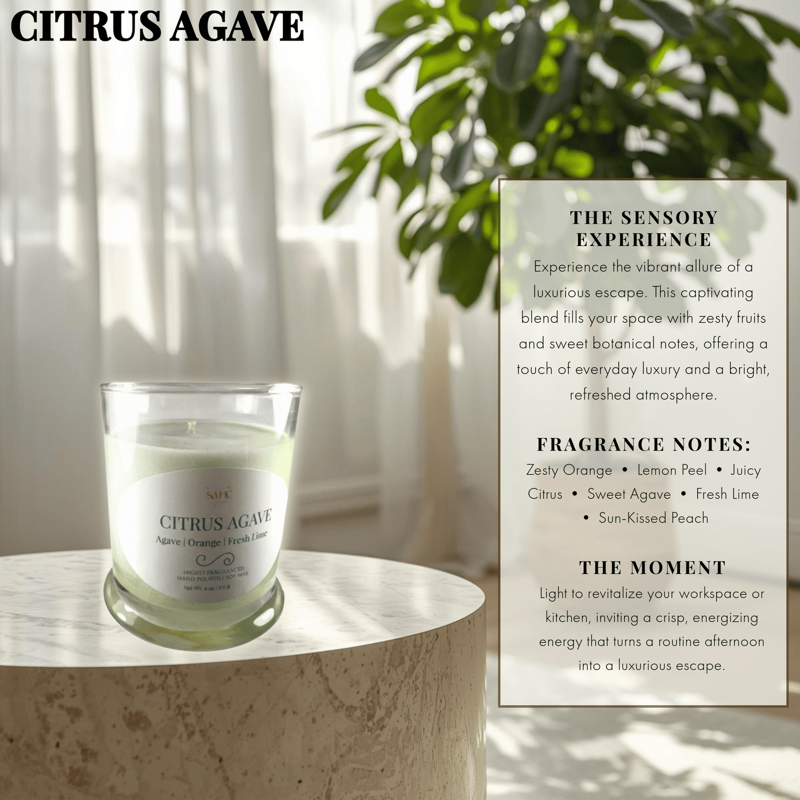 Citrus Agave Scented Soy Candle