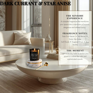 Dark Currant & Star Anise | Luxury Fragrance Candle