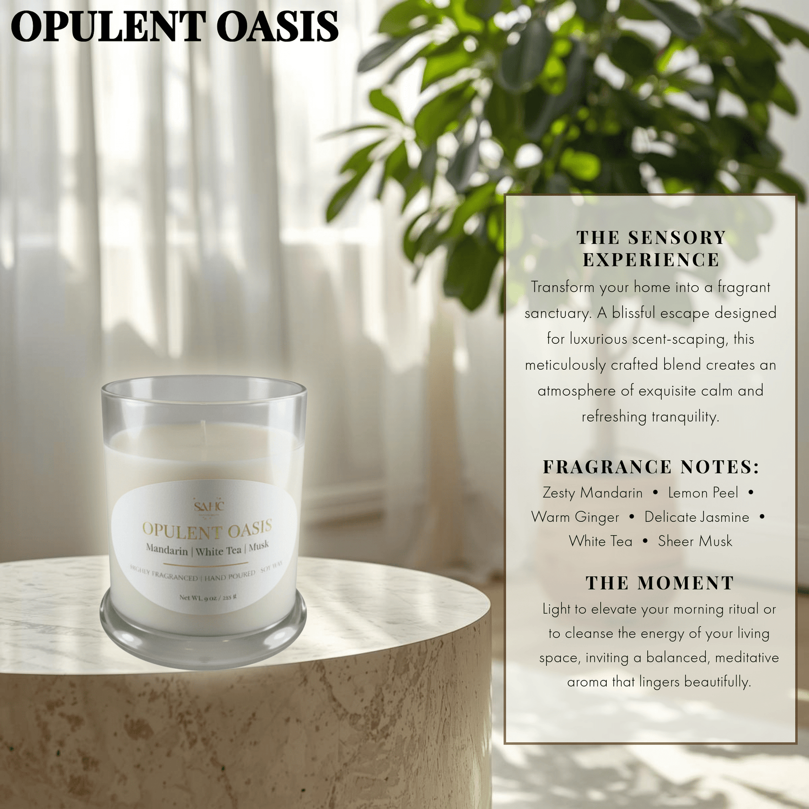 Opulent Oasis | Hand-Poured Candle