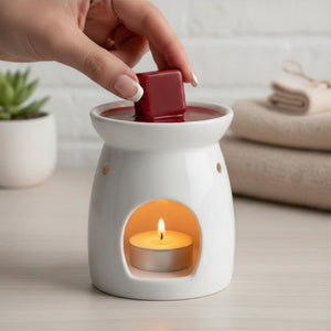 Dark Currant & Star Anise | Wax Melts